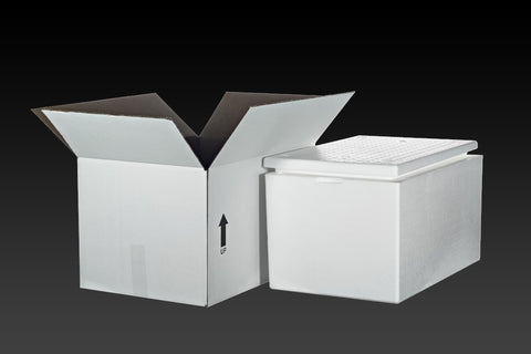 Molded Foam Cooler with Carton